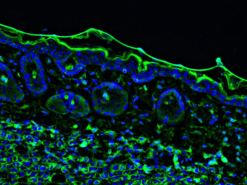 Investment Focus (1)